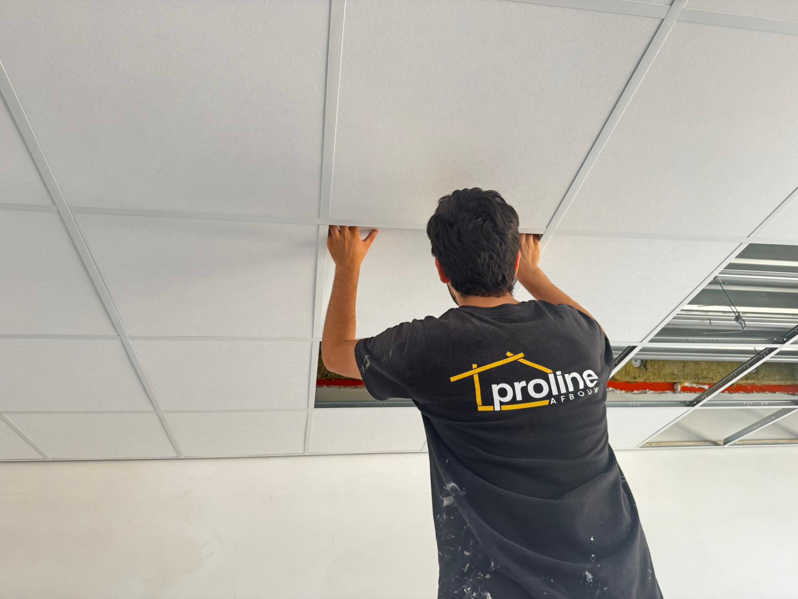 systeemplafond en wanden